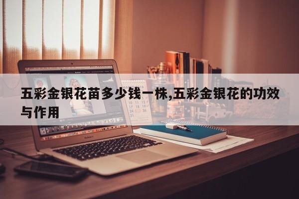 五彩金银花苗多少钱一株,五彩金银花的功效与作用