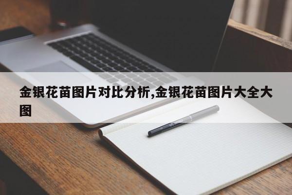 金银花苗图片对比分析,金银花苗图片大全大图