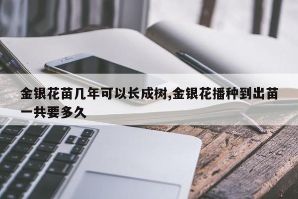 金银花苗几年可以长成树,金银花播种到出苗一共要多久