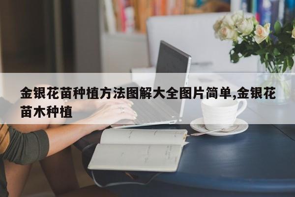 金银花苗种植方法图解大全图片简单,金银花苗木种植