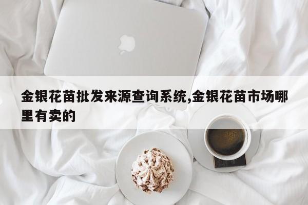 金银花苗批发来源查询系统,金银花苗市场哪里有卖的