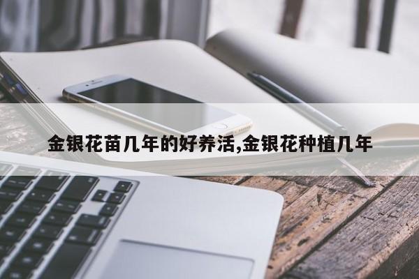 金银花苗几年的好养活,金银花种植几年