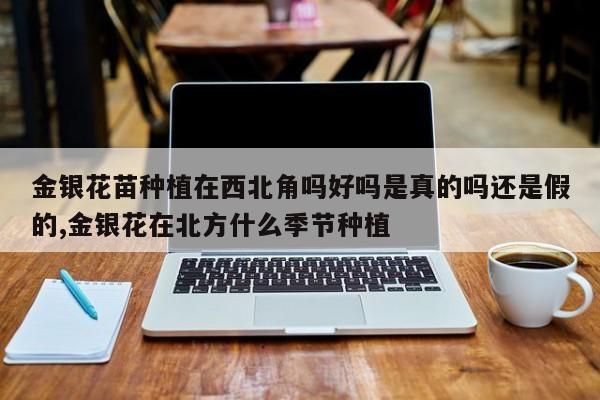 金银花苗种植在西北角吗好吗是真的吗还是假的,金银花在北方什么季节种植