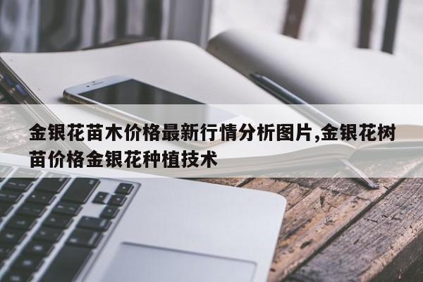 金银花苗木价格最新行情分析图片,金银花树苗价格金银花种植技术