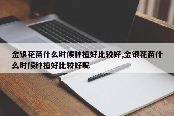 金银花苗什么时候种植好比较好,金银花苗什么时候种植好比较好呢