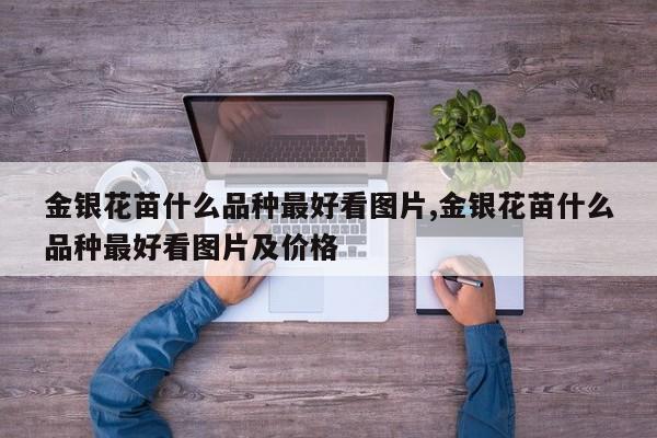 金银花苗什么品种最好看图片,金银花苗什么品种最好看图片及价格