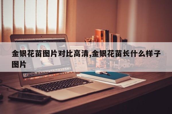 金银花苗图片对比高清,金银花苗长什么样子图片